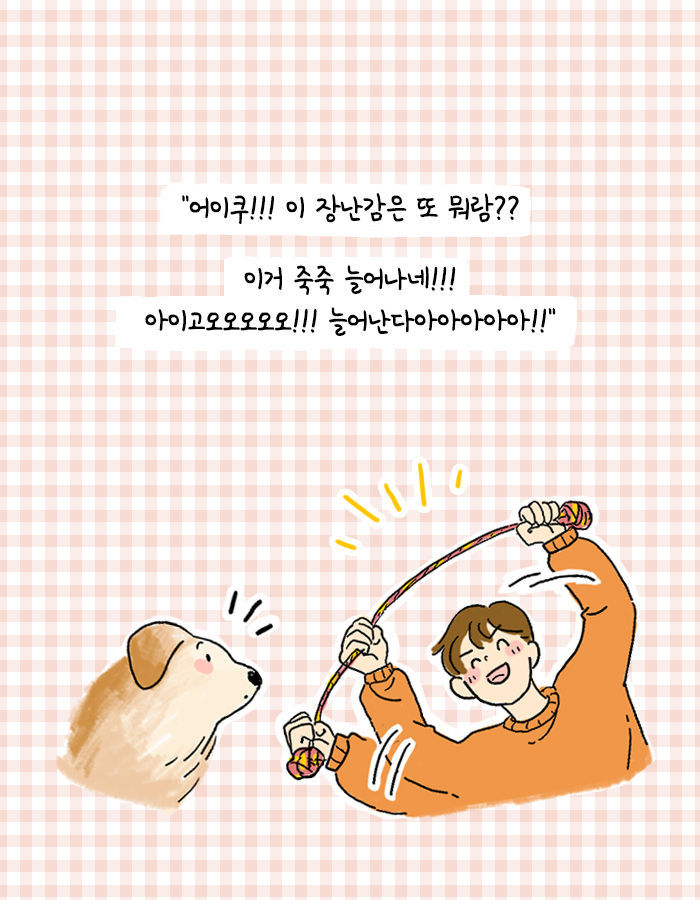 [책소개] 어쩌다보니 대형 댕댕이랑 같이 살게 됨 | 인스티즈