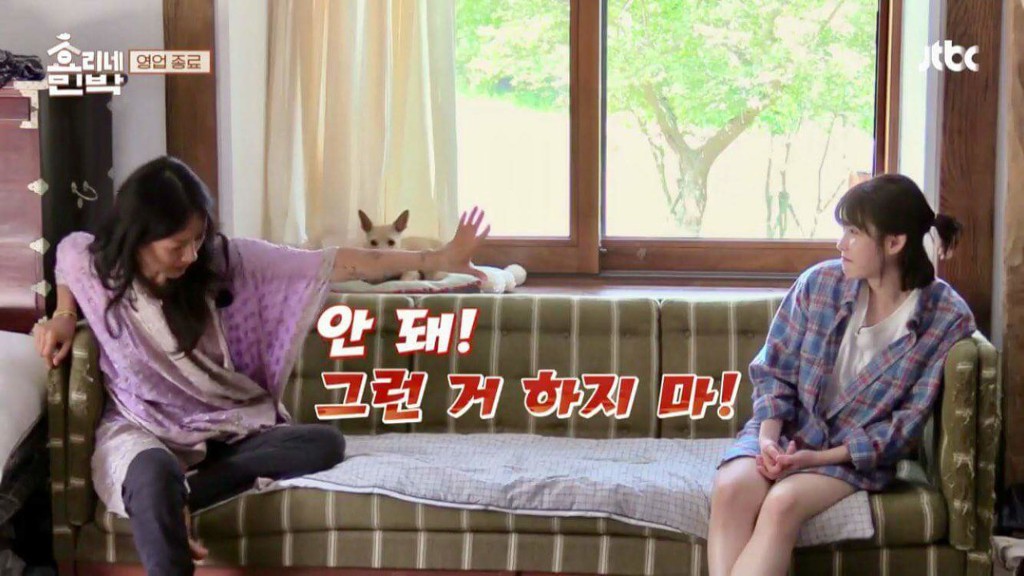 [효리네민박] 마지막날 효리누나가 가라고 하자 울먹거리는 아이유 | 인스티즈