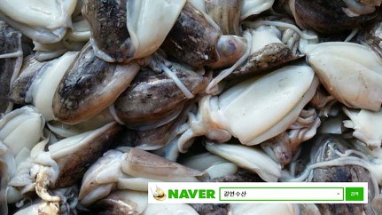 수산냉동 이미지