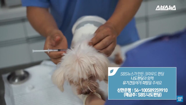  사람들이 홍대에서 인형을 뽑다 우는 이유는? | 인스티즈