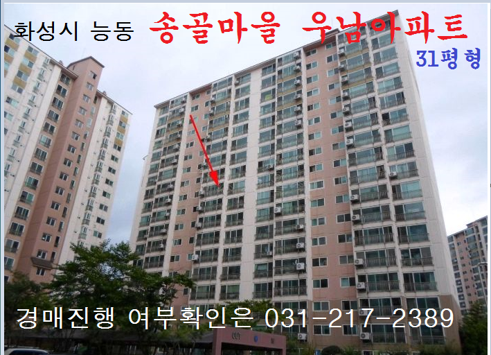 송골 이미지