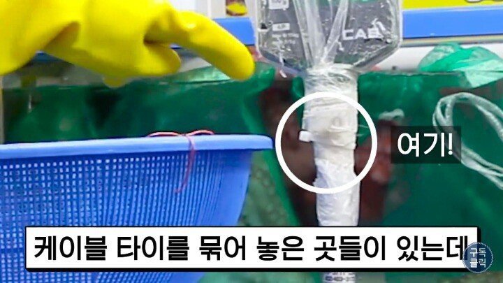 수산시장에서 바가지 안당하는법.JPG | 인스티즈