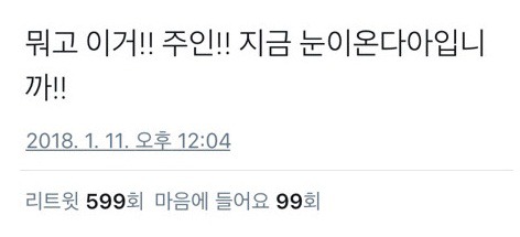 마!! 인간아!! 산책나가야지!! 니 서마터폰 중독이다!! | 인스티즈