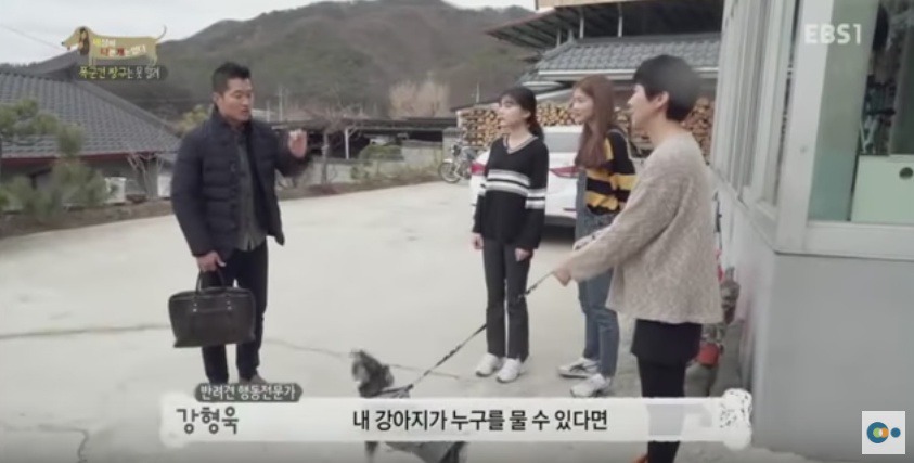 관리 못하겠으면 키우지도 마라 | 인스티즈