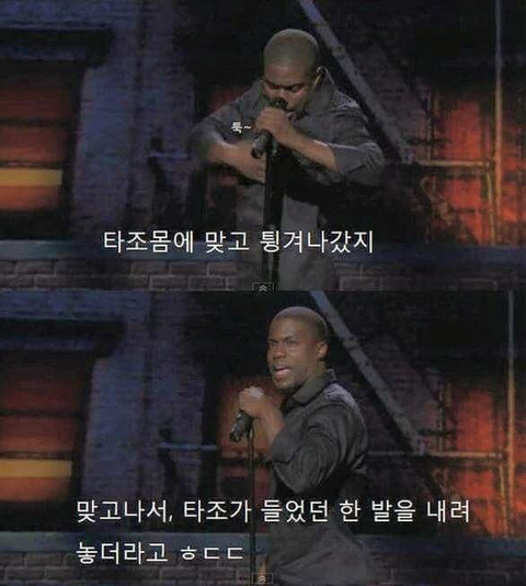 타조가 싫은 이유.jpg | 인스티즈