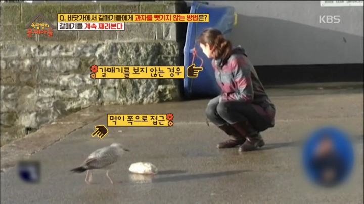 갈매기에게 과자를 빼앗기지 않는 방법 | 인스티즈