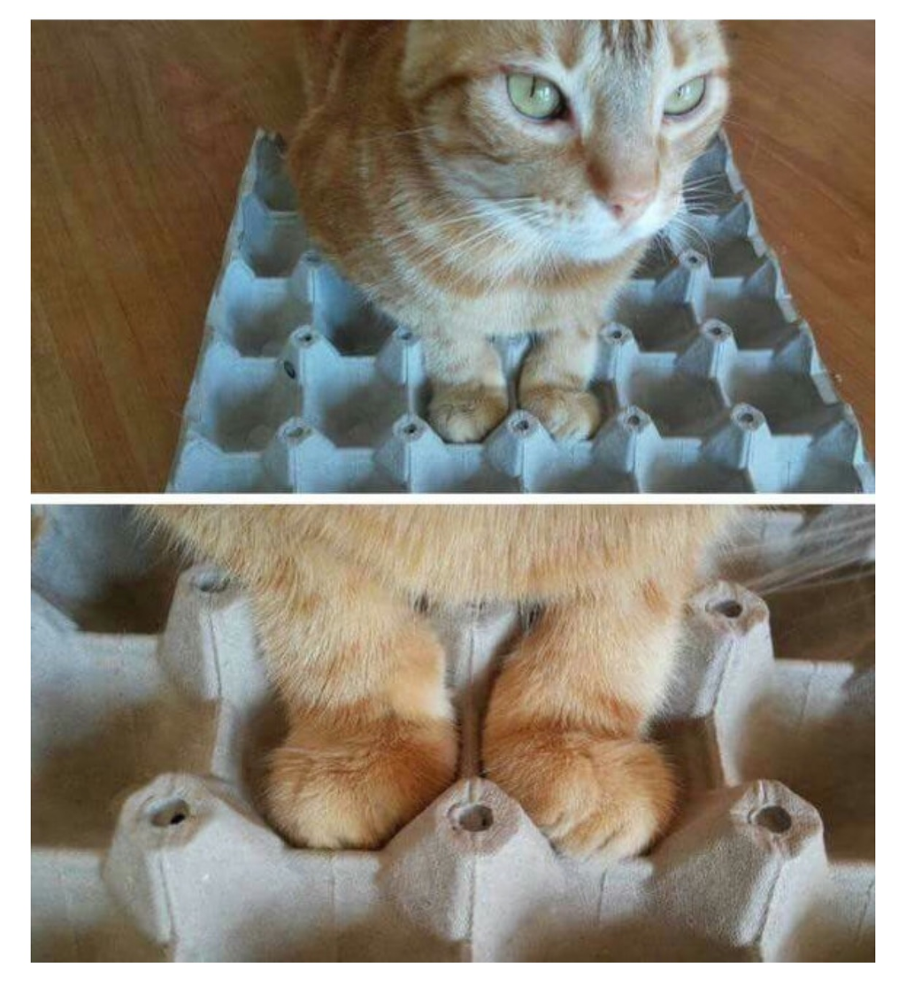 아늑하구냥 | 인스티즈