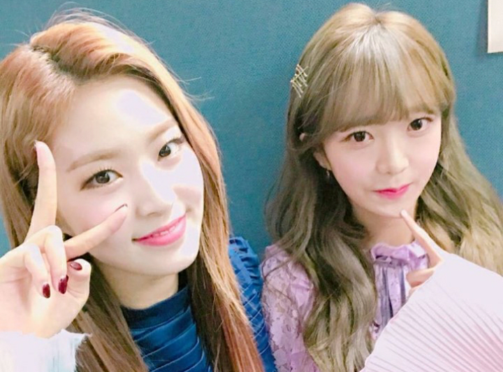 소나무 인스타 아드공 친목 퀵소희 슬기 | 인스티즈