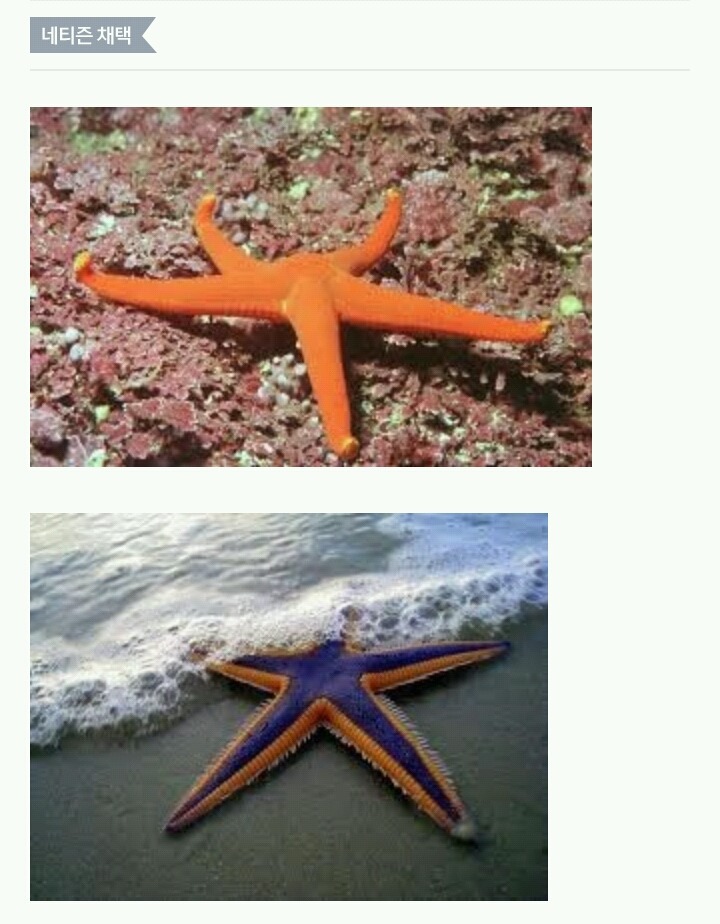 지식인 레전드 모음ㅋㅋㅋㅋㅋㅋ | 인스티즈