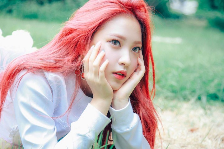 다 예쁜 레드벨벳 중 얼굴 취향은?.jpgif | 인스티즈