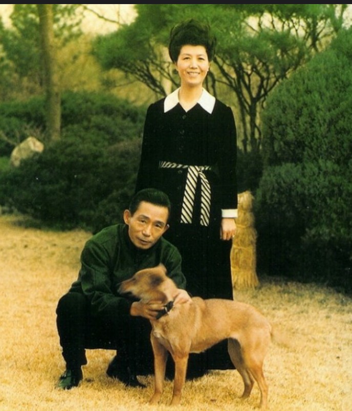 청화대 이미지
