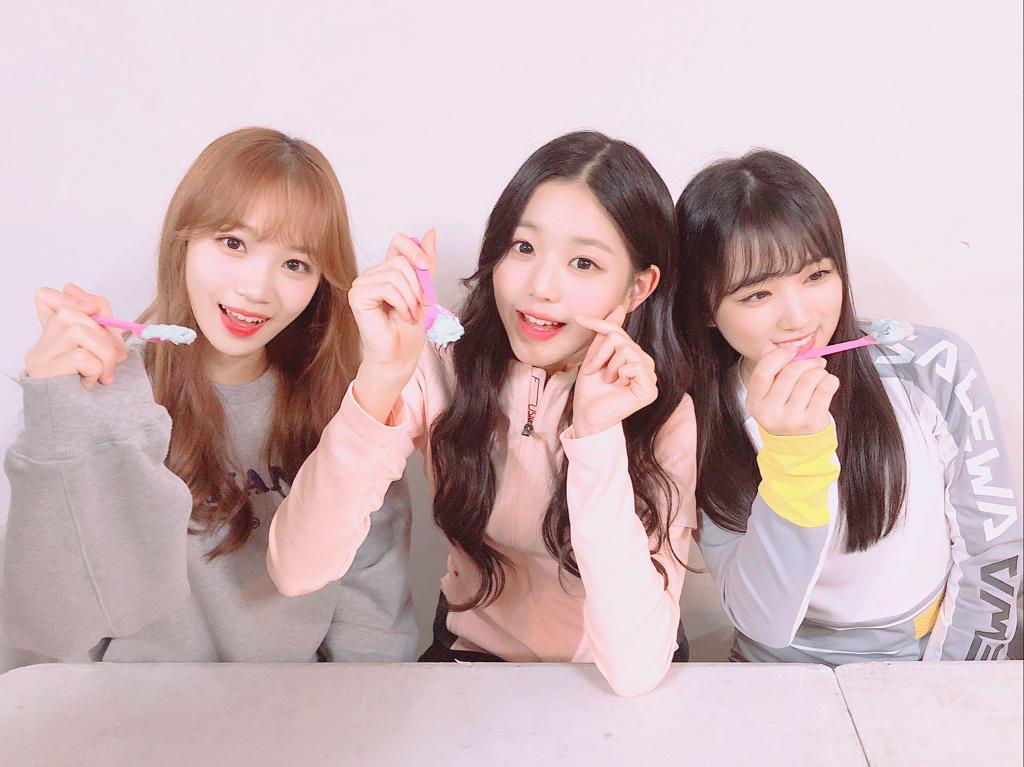 반박불가 아이스크림 최고 존엄 민트초코 | 인스티즈