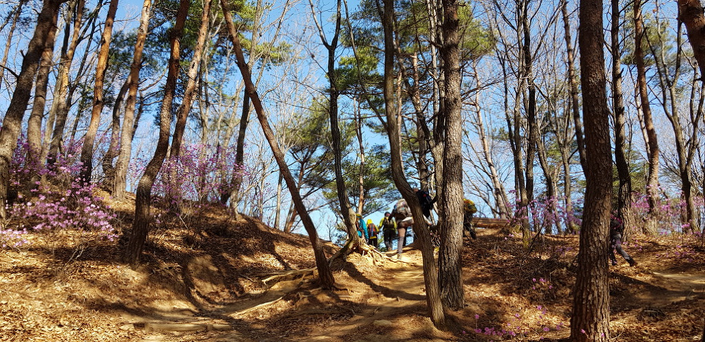 동산장 이미지