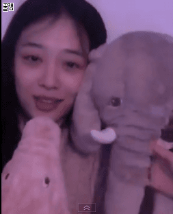 생각보다 많은 여자들이 좋아하는 동물 | 인스티즈