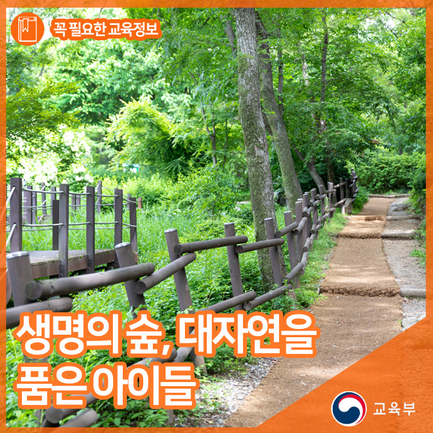 숲유치원 이미지