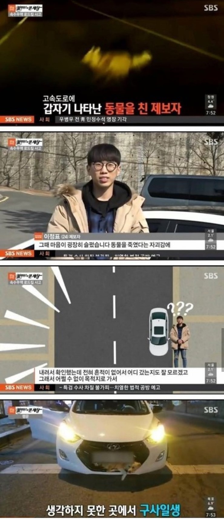 차로 강아지를 친 제보자 | 인스티즈