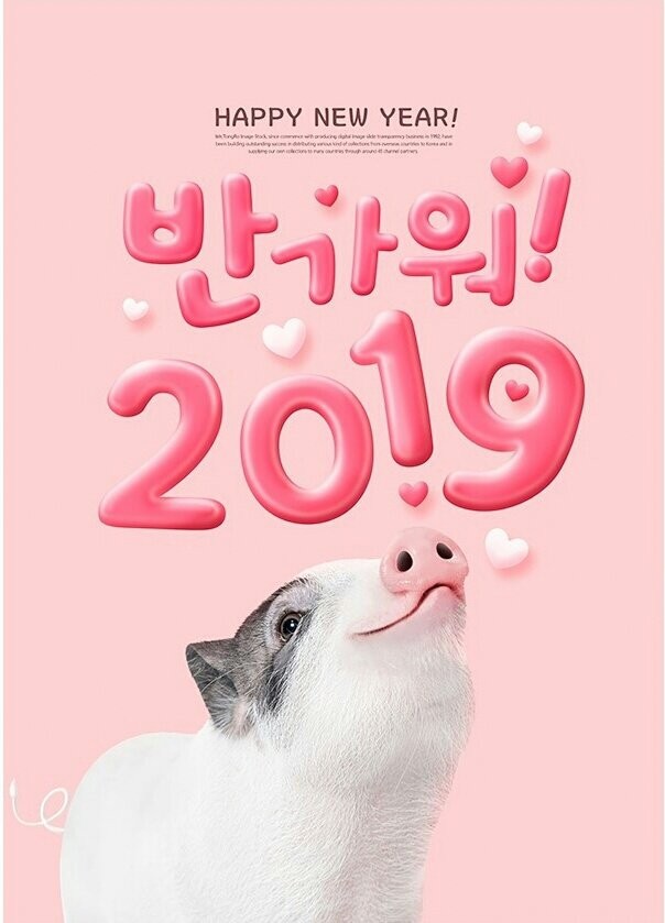 돼지우리 이미지