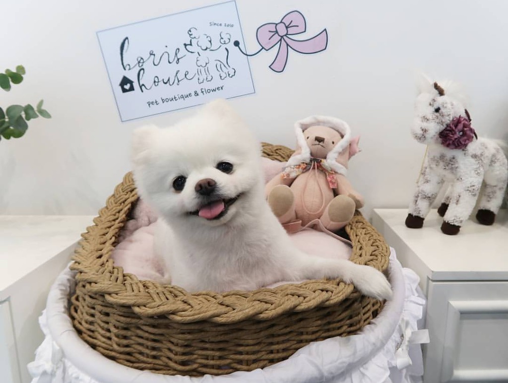 운동하러 나왔다가 집에 못감.gif | 인스티즈