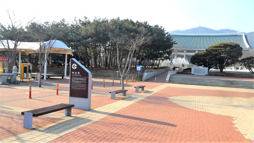 성산519 이미지