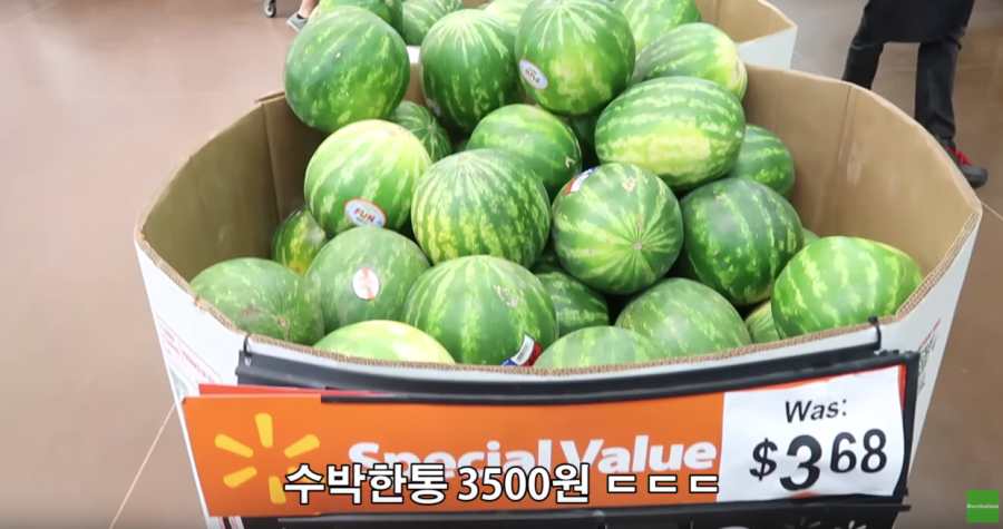 미국의 수박가격 | 인스티즈