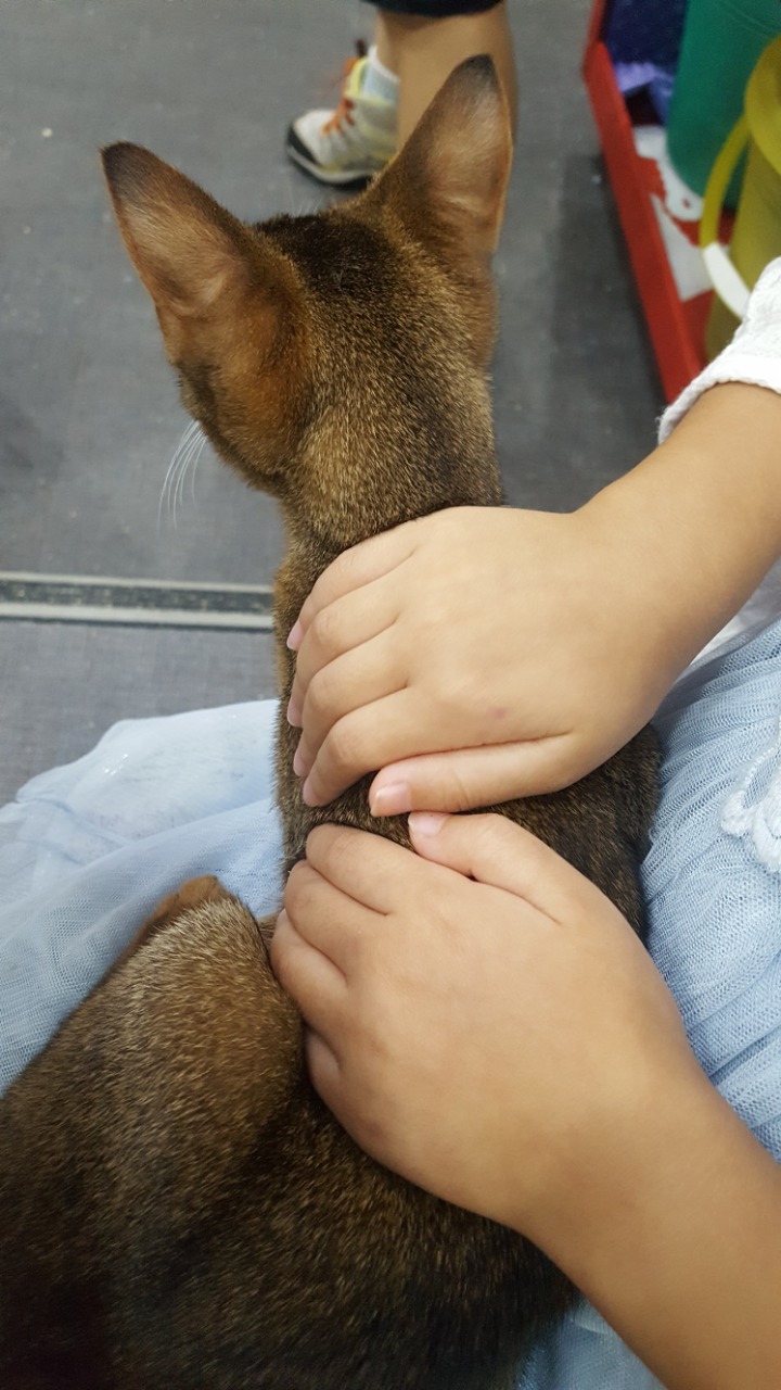 설아네일 이미지