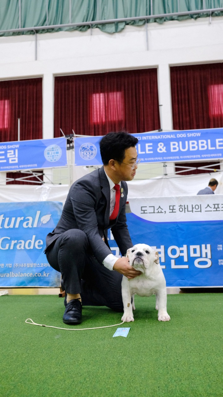 니나노 이미지