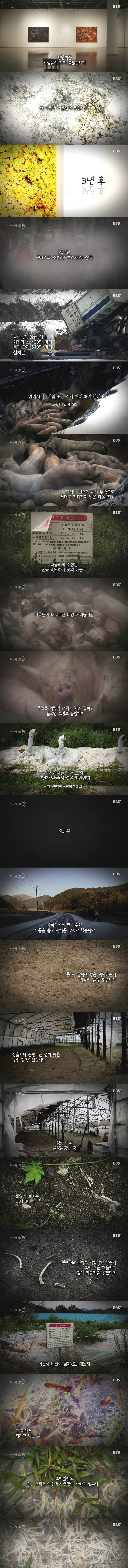 우리나라 땅이 썩고있습니다.jpg | 인스티즈