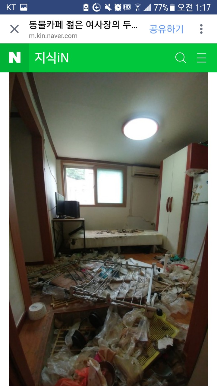 안양시 동물카페 사장의만행 | 인스티즈