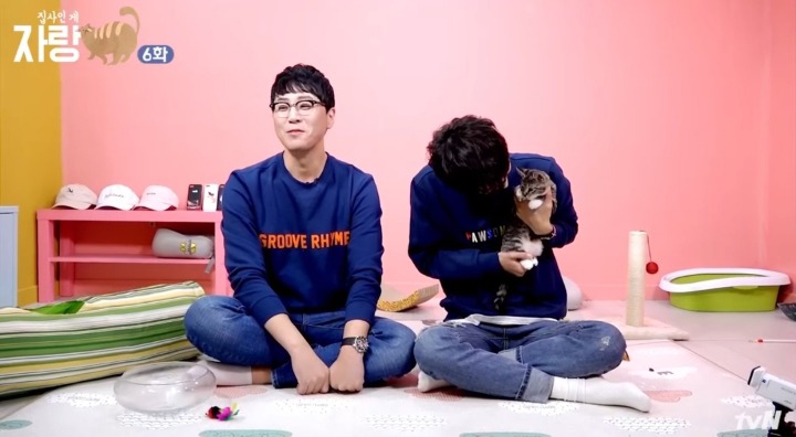 고양이랑 인사하는 법.jpg | 인스티즈