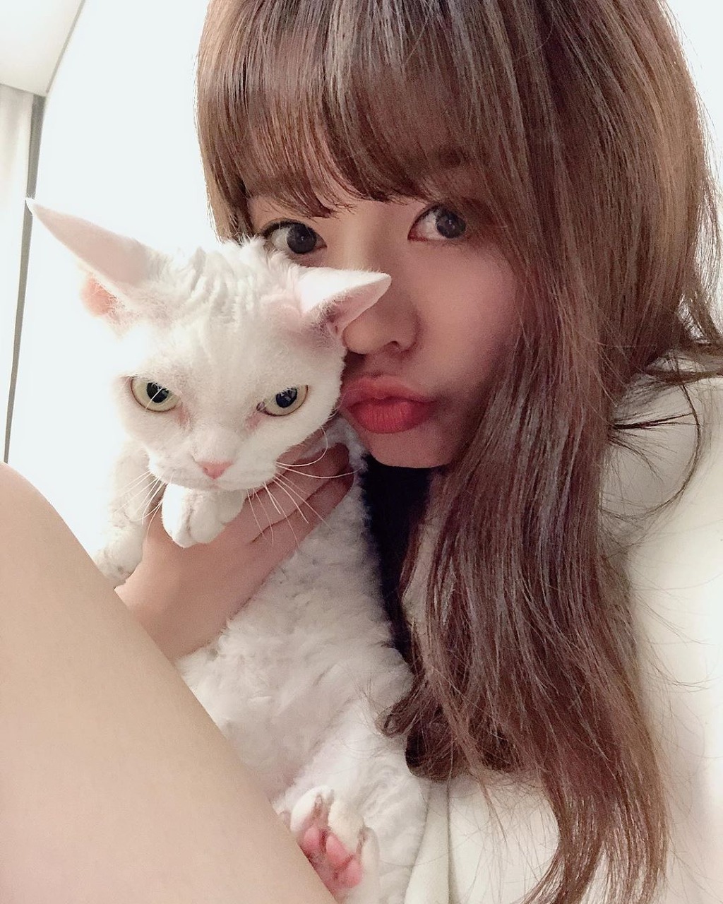 9994973A5E8B4CE726A3F3