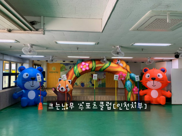 자연스포츠 이미지