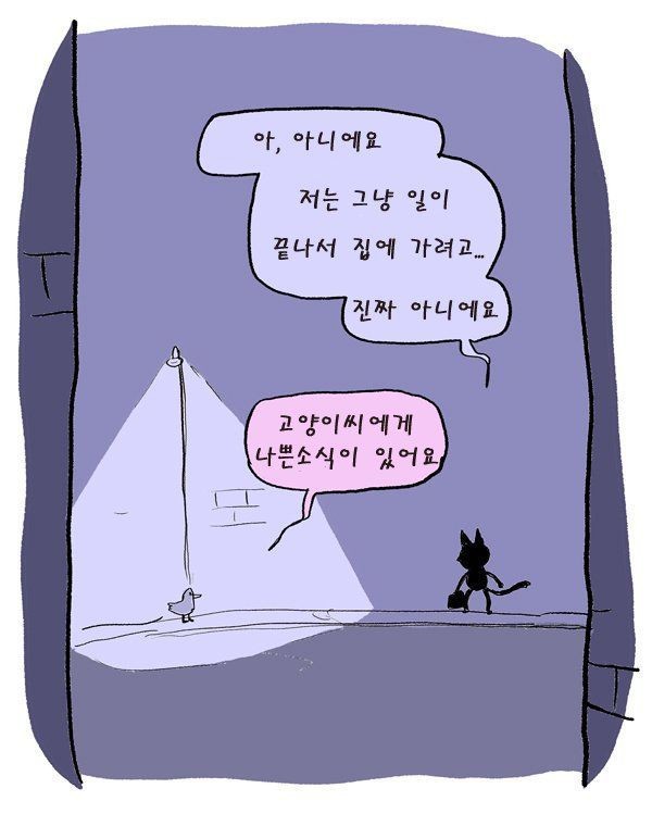 길잃은 고양이의 최후 ㅠㅠ | 인스티즈