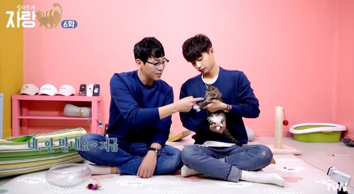 고양이랑 인사하는 법.jpg | 인스티즈