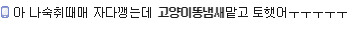 이쯤되면 어느정도인지 궁금해지는 고양이 똥냄새. jpg | 인스티즈