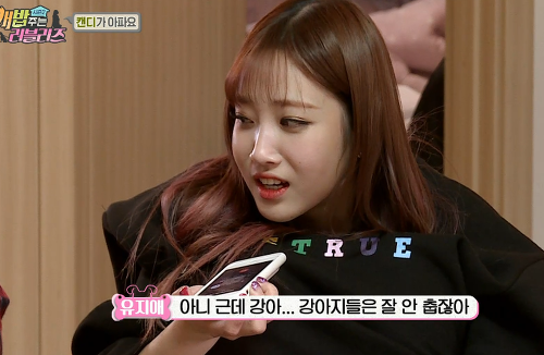 아버지도 아시는 러블리즈 지애의 무서움.gif | 인스티즈