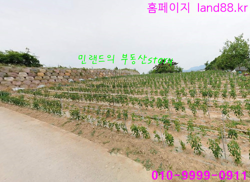 카페507 이미지