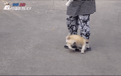 마성의 친화력 짱절미.gif | 인스티즈