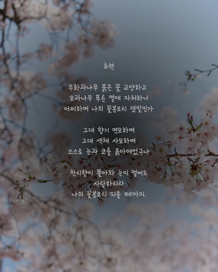 사랑에 관련된 시 | 인스티즈