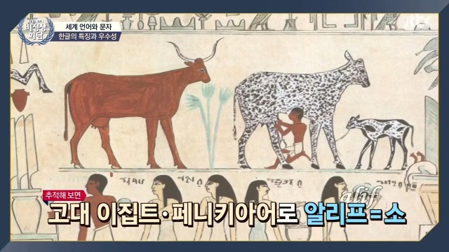 [비정상회담] 조승연이 생각하는 한글의 가치 | 인스티즈