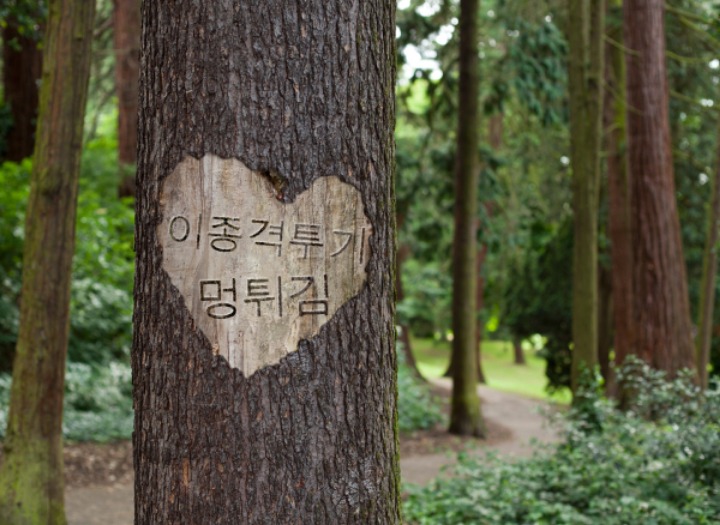 신기한 키보드 | 인스티즈