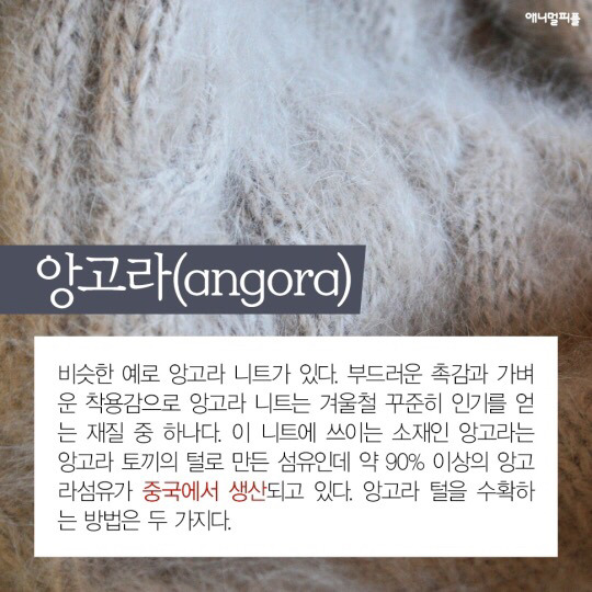 일상에 스며든 동물학대 생산품들 (중간에 피 주의) | 인스티즈