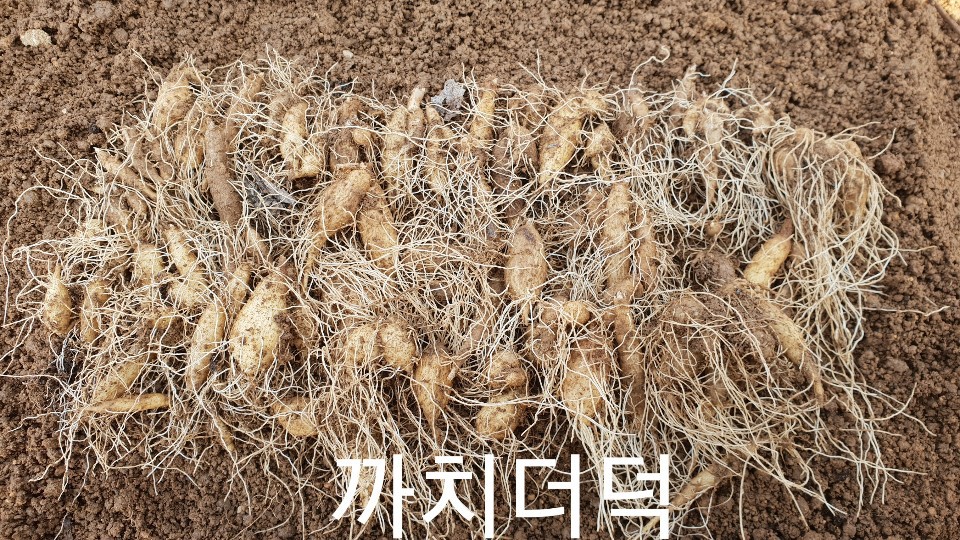 까치수퍼 이미지