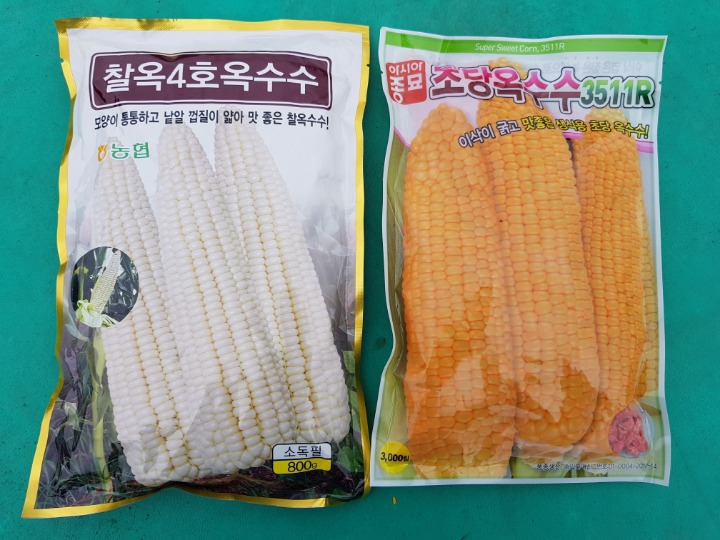 한진약초 이미지