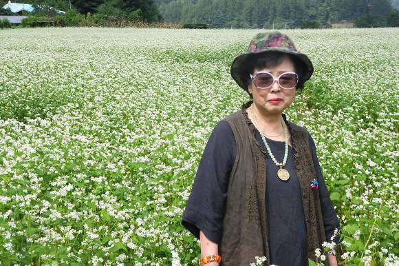 평창메밀 이미지