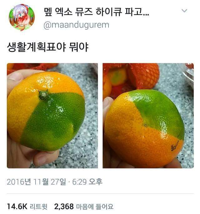내 웃음 모음2 | 인스티즈