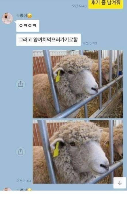 ??: 제 이름은 초원이에요! | 인스티즈