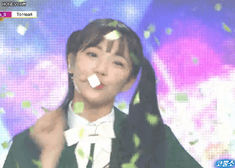 오늘자 백지헌.gif | 인스티즈
