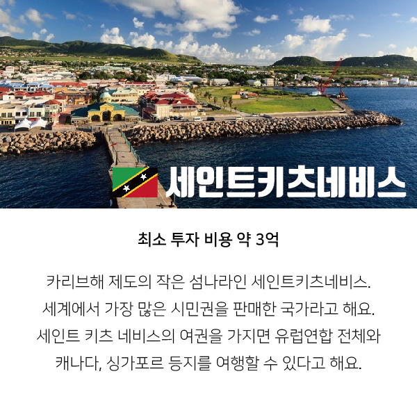 돈으로 시민권 살 수 있는 나라.jpg | 인스티즈