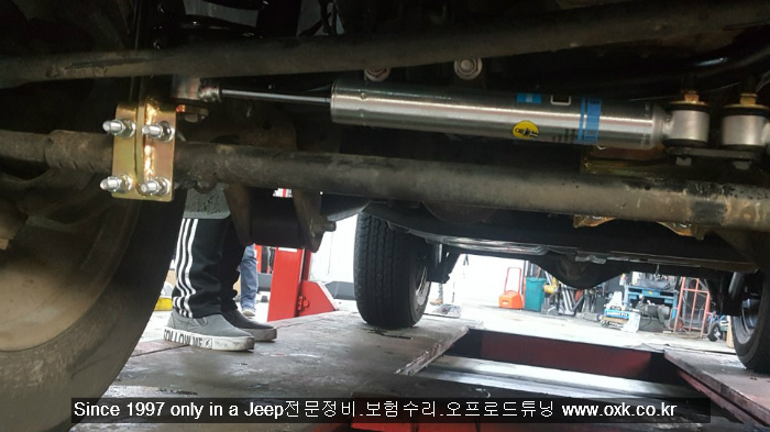 테라스포츠 이미지