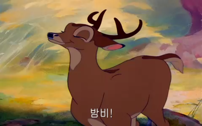 밤비 이미지